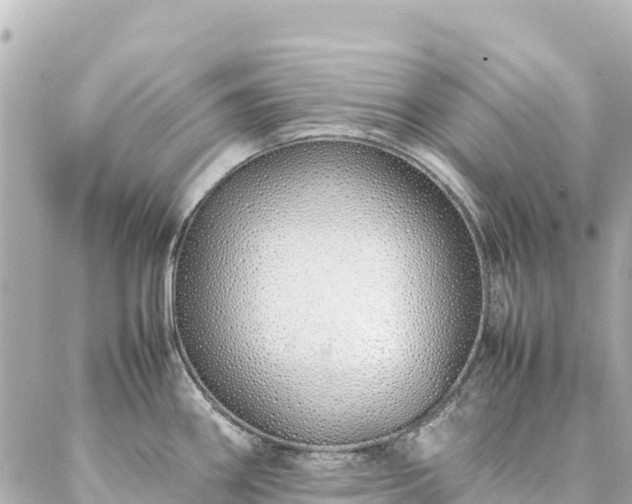 X0000086991290200704231835