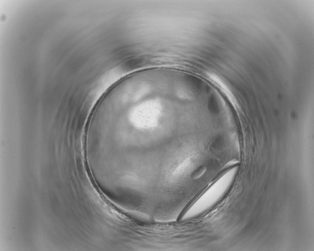 X0000086991291200704231835