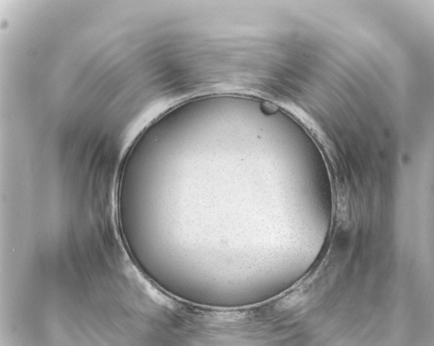 X0000086991294200704231835