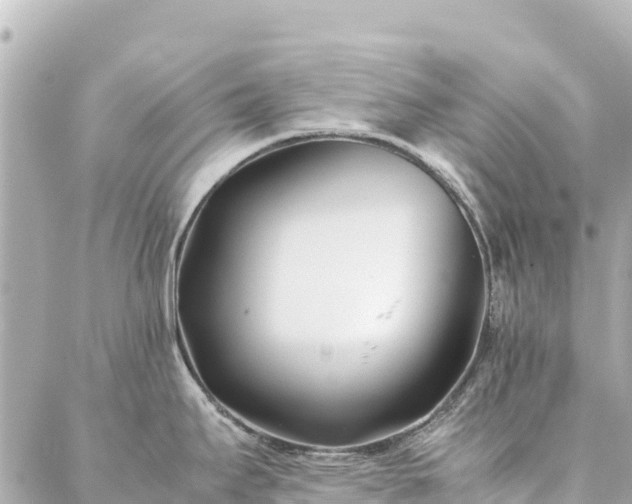 X0000086991295200704231835