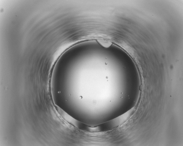 X0000086991296200704231835