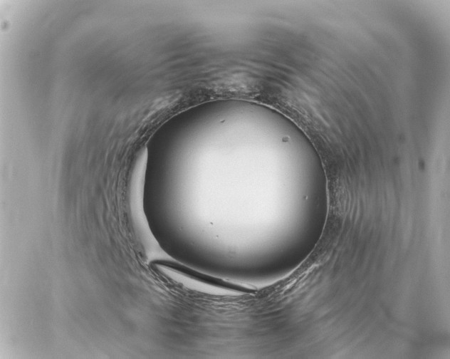 X0000086991297200704231835