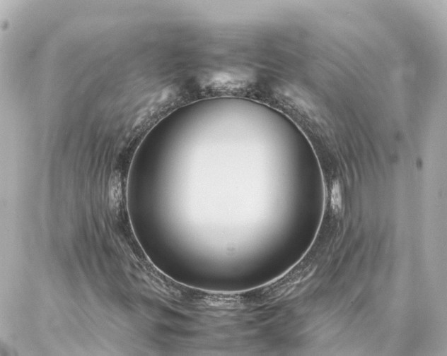 X0000086991299200704231835