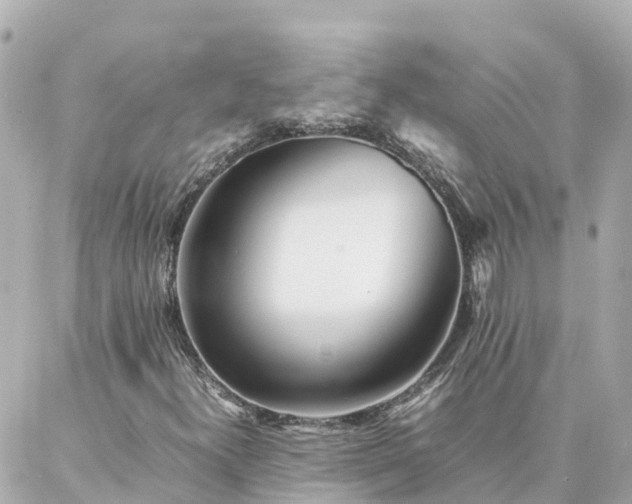 X0000086991300200704231835