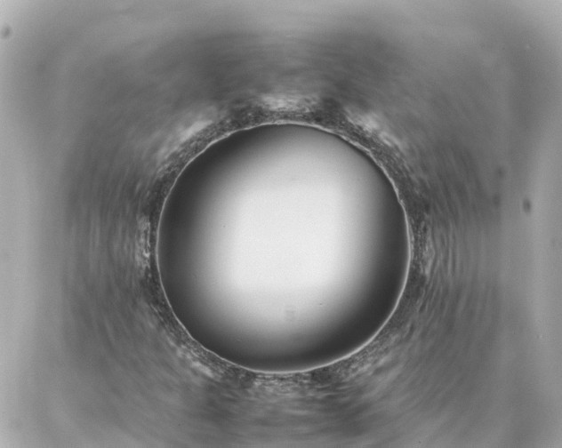 X0000086991301200704231835