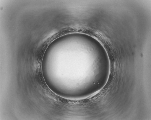 X0000086991302200704231835