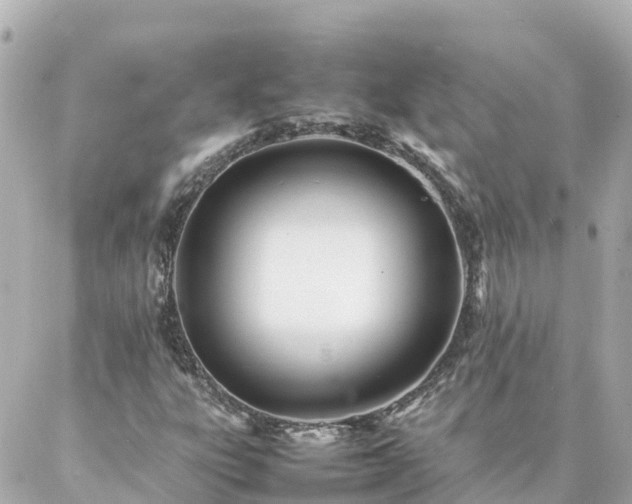 X0000086991303200704231835