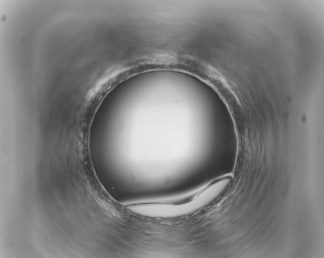 X0000086991304200704231835