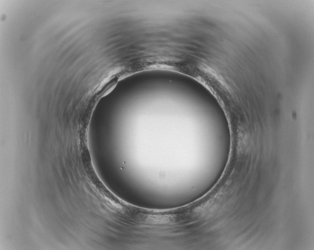 X0000086991305200704231835