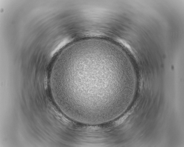 X0000086991306200704231835