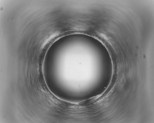 X0000086991307200704231835