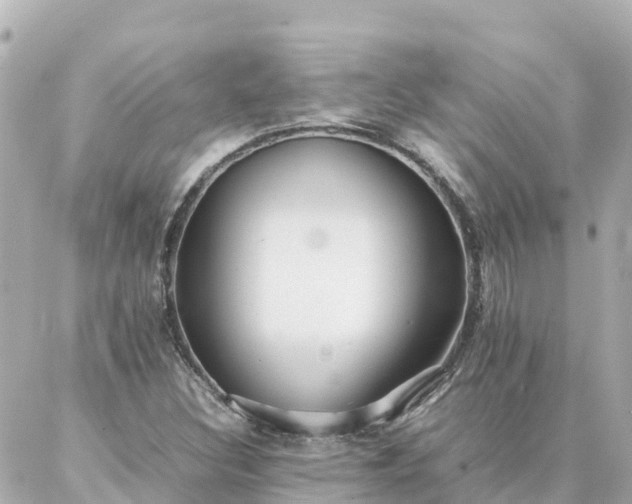 X0000086991308200704231835