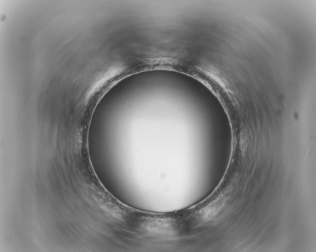 X0000086991309200704231835