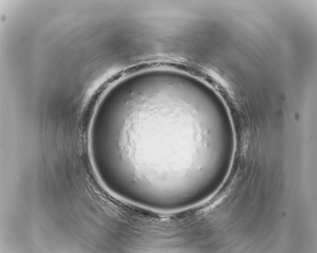 X0000086991310200704231835