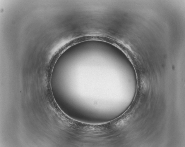 X0000086991311200704231835