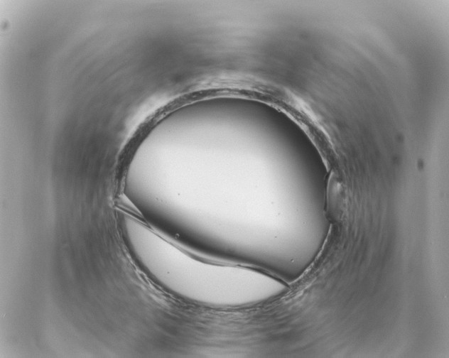 X0000086991312200704231835