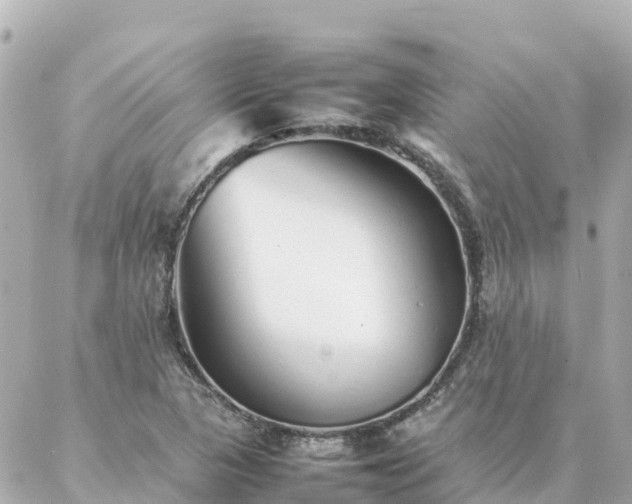 X0000086991313200704231835