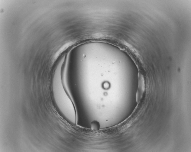 X0000086991314200704231835