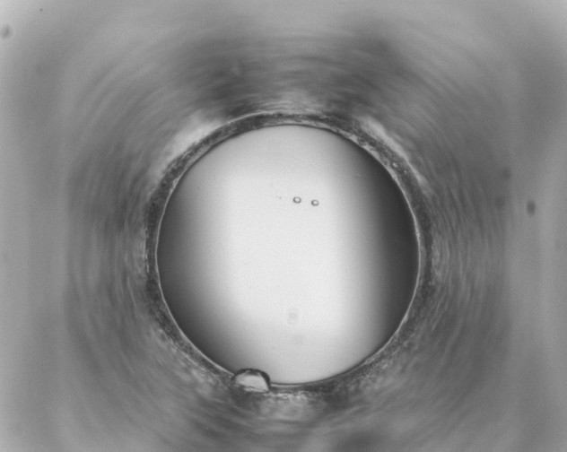 X0000086991315200704231835