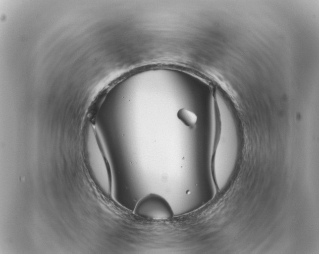 X0000086991316200704231835