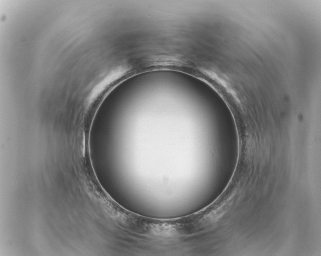 X0000086991317200704231835