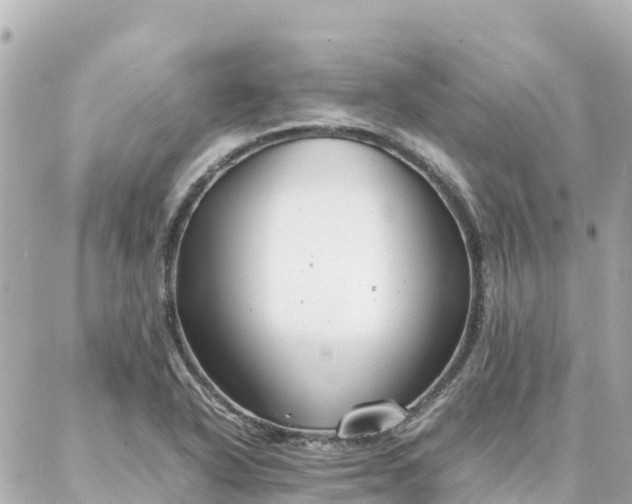 X0000086991318200704231835