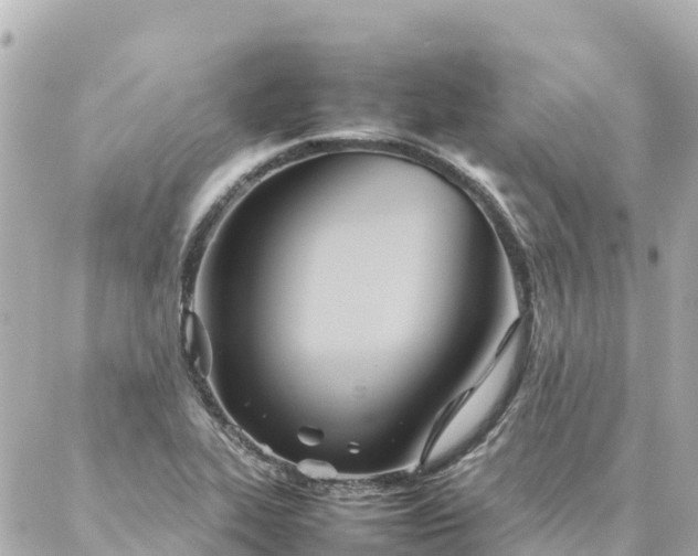 X0000086991319200704231835