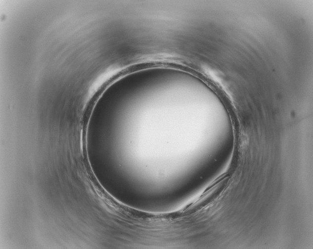 X0000086991320200704231835