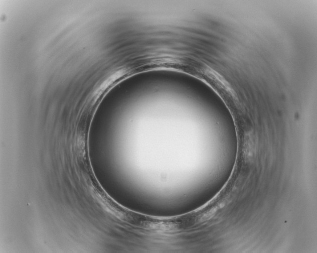 X0000086991321200704231835