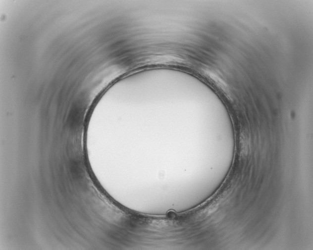 X0000086991322200704231835