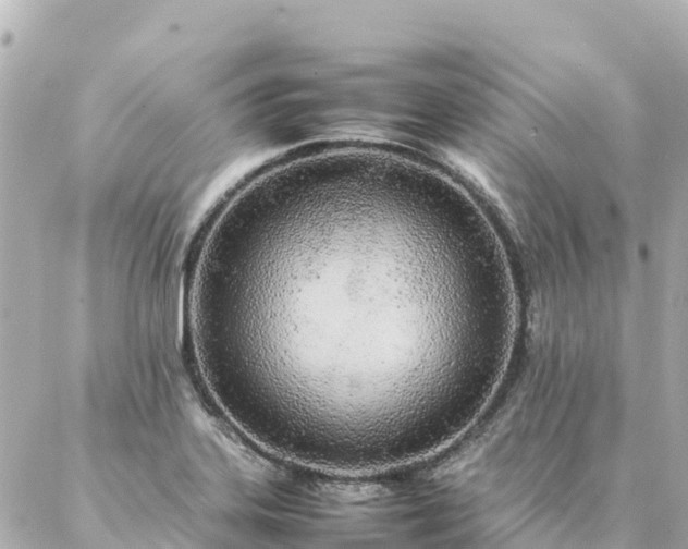 X0000086991323200704231835