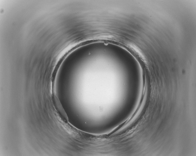 X0000086991324200704231835