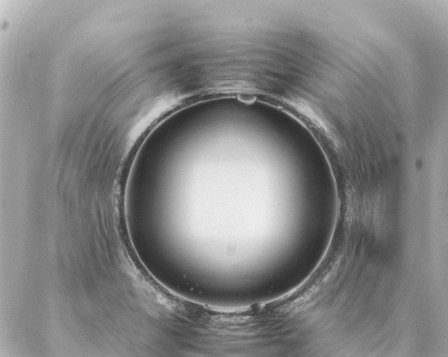 X0000086991325200704231835