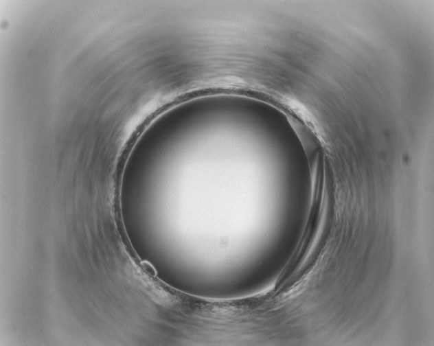 X0000086991326200704231835