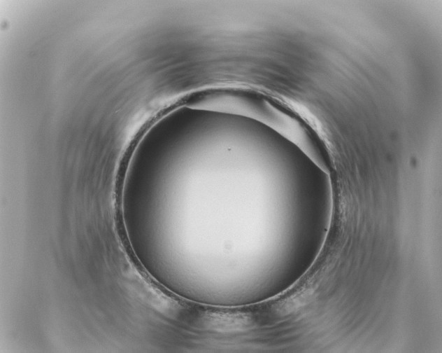 X0000086991327200704231835