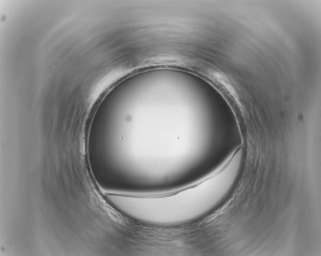 X0000086991328200704231835