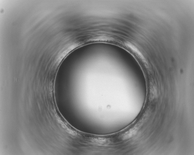 X0000086991329200704231835