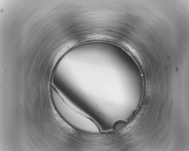 X0000086991330200704231835