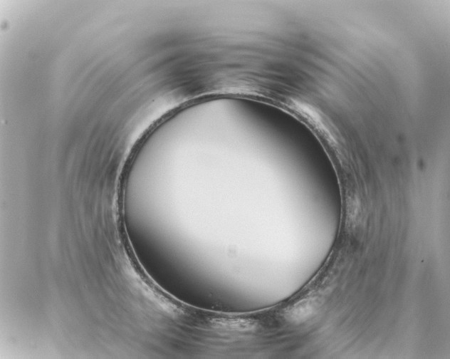 X0000086991331200704231835