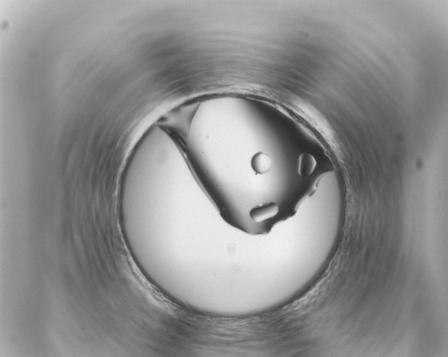 X0000086991332200704231835