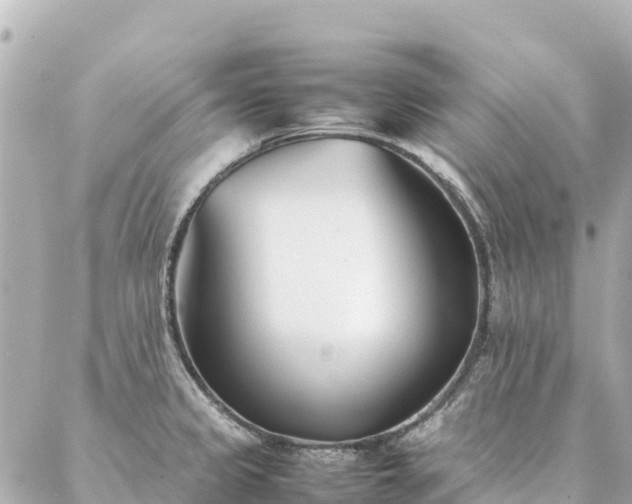 X0000086991333200704231835