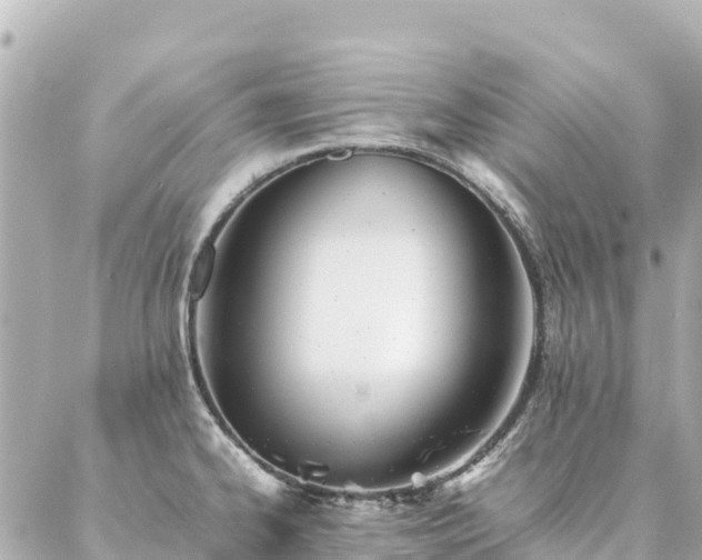 X0000086991334200704231835