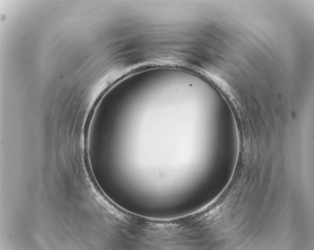 X0000086991335200704231835