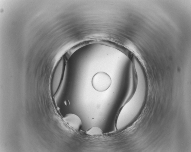 X0000086991336200704231835