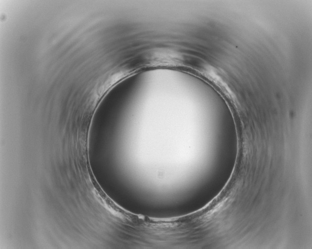 X0000086991337200704231835