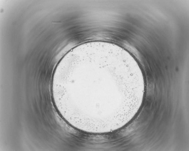 X0000086991338200704231835