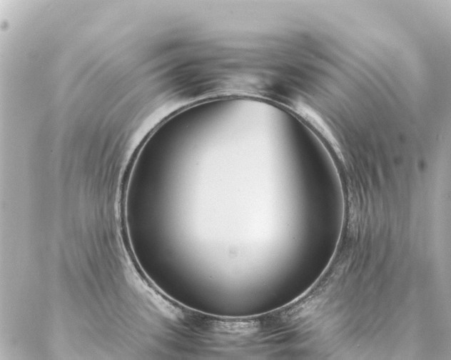 X0000086991339200704231835