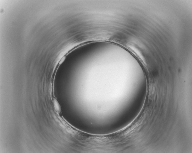 X0000086991340200704231835