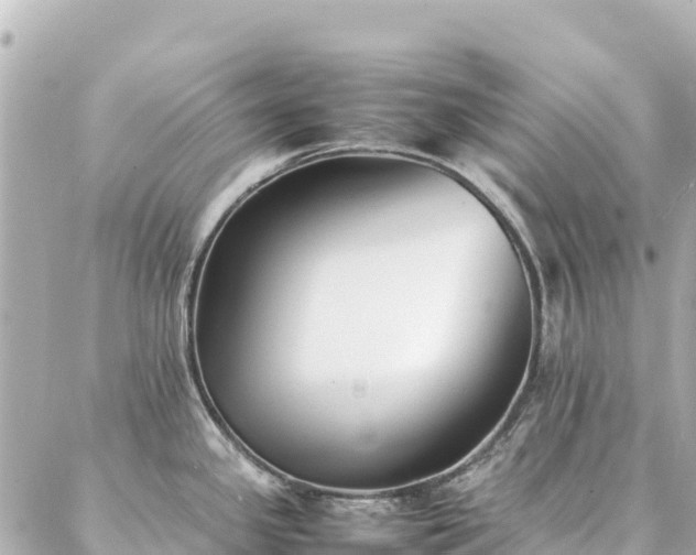 X0000086991341200704231835