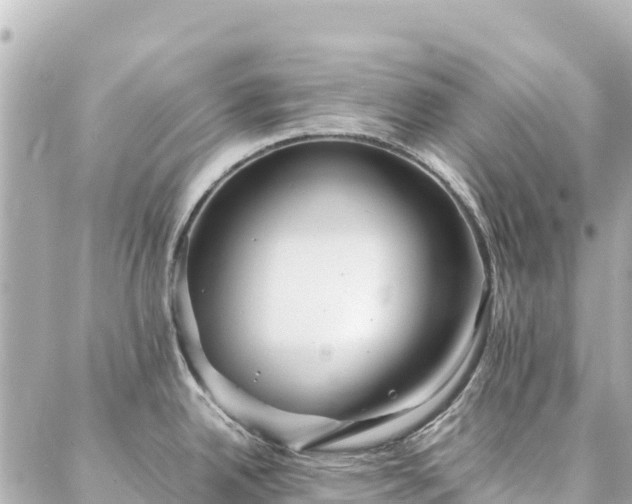 X0000086991342200704231835